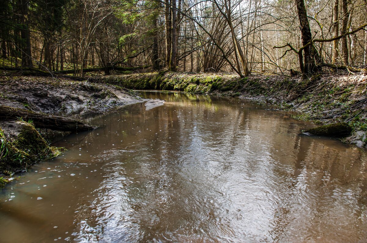 Весна . Лесной ручей. - Va-Dim ...