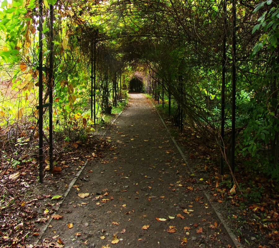 Аллея влюбленных - Сергей Карачин