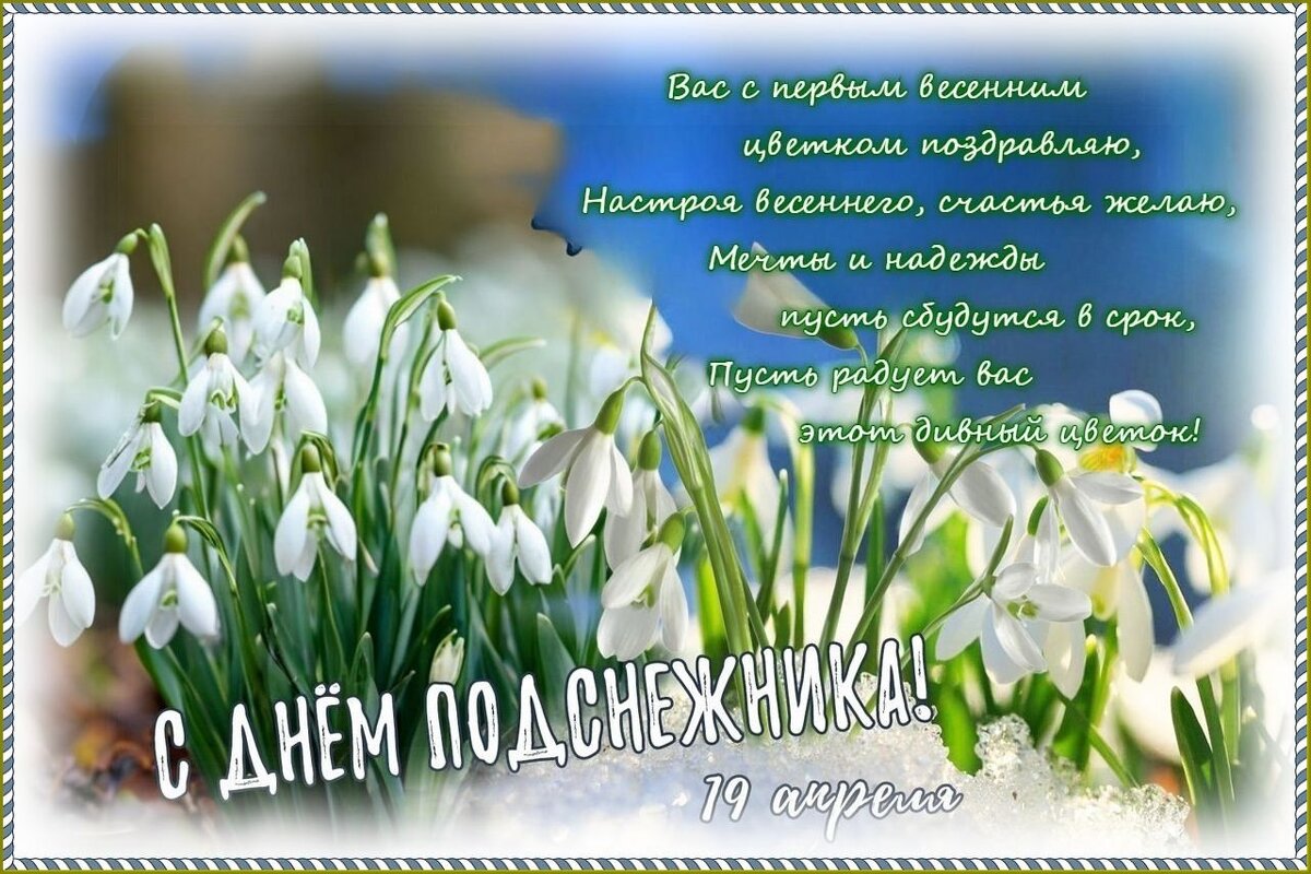 С ДНЁМ ПОДСНЕЖНИКА ! - Валентина Надсон