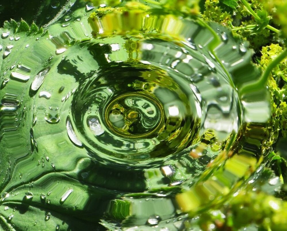 Кольца по воде - Лариса С.