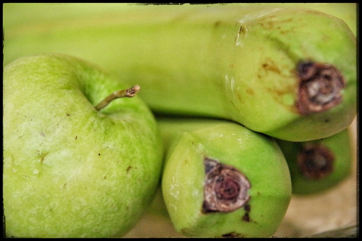 . . . - Руслан 