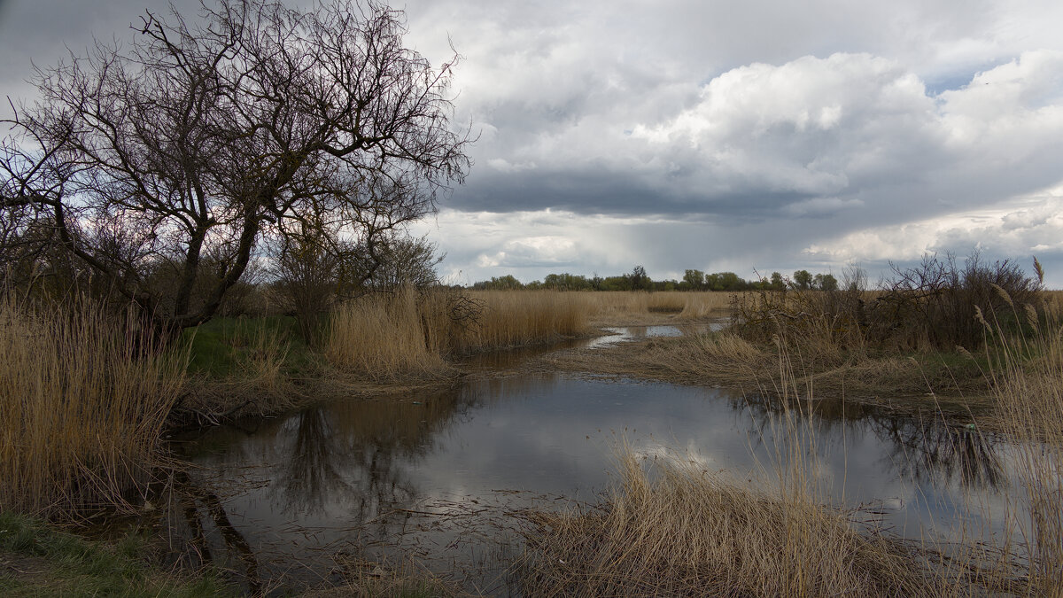 *** - Александр Бекетов