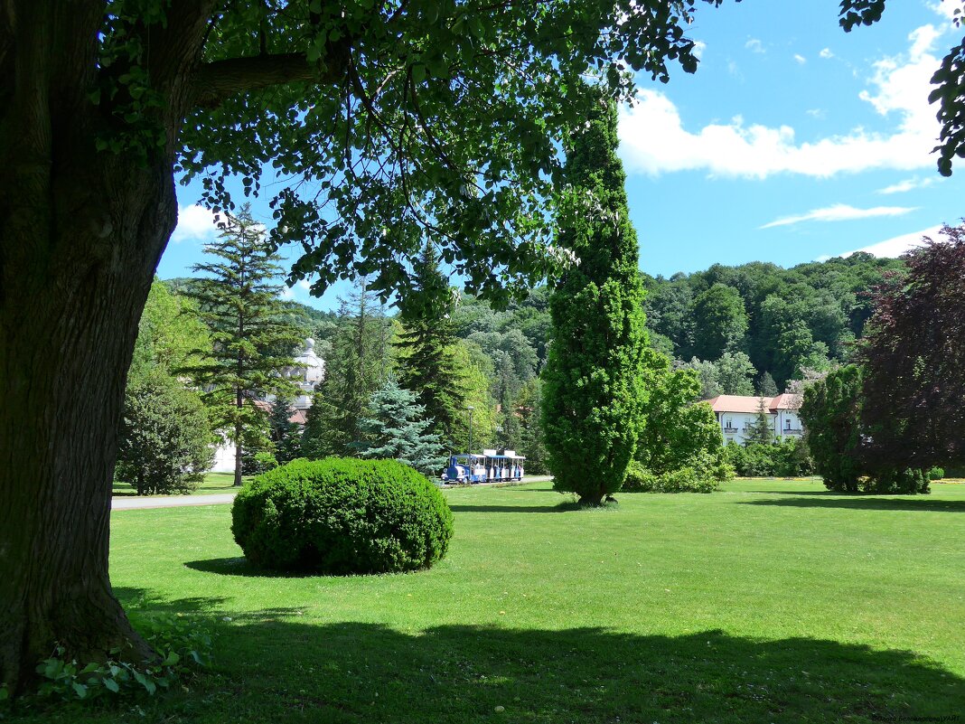 Полянка - Ольга Лебедева (Беловласова)