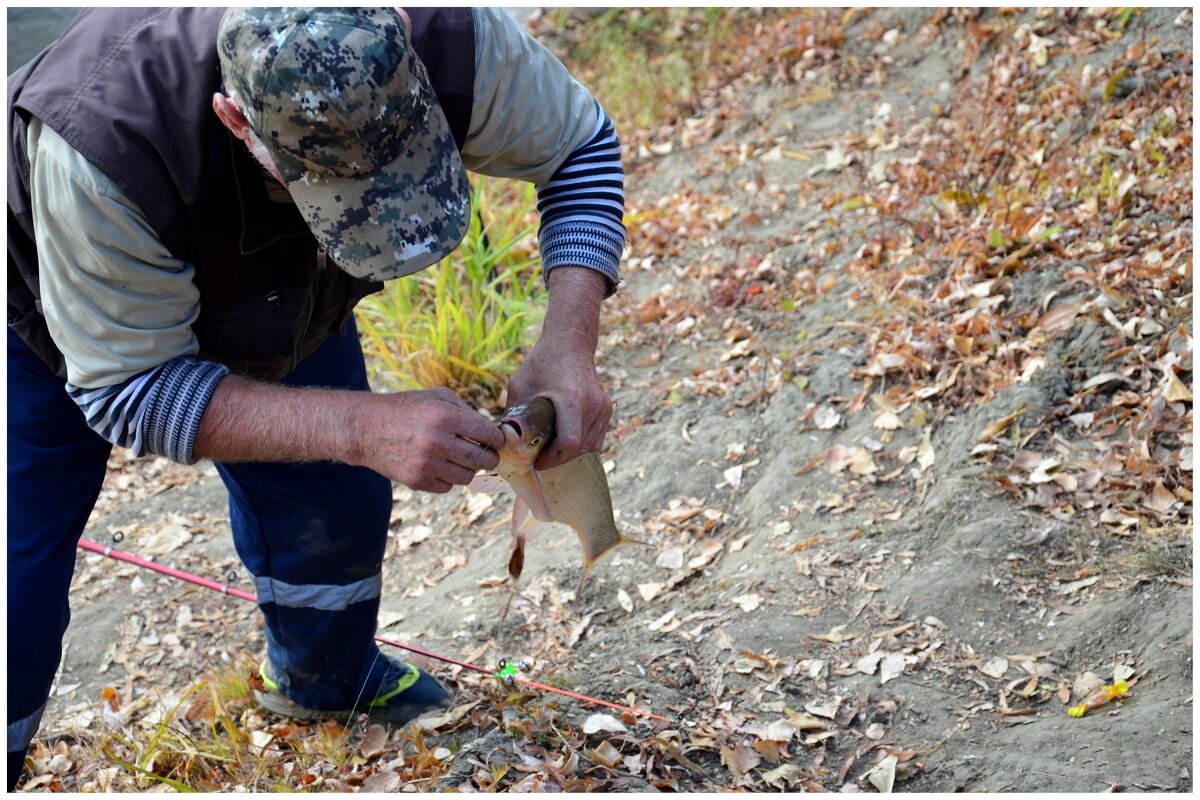 Удачная поклёвка. - Михаил К