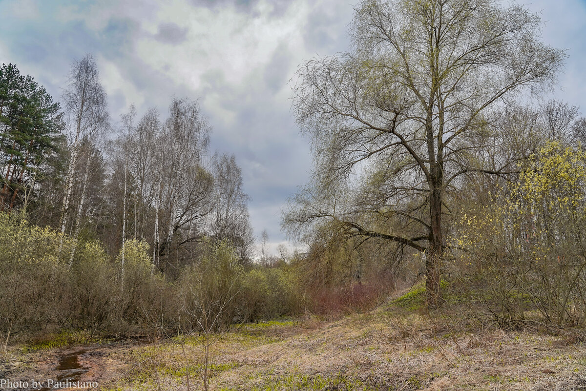 В весеннем парке... - Владимир Жданов