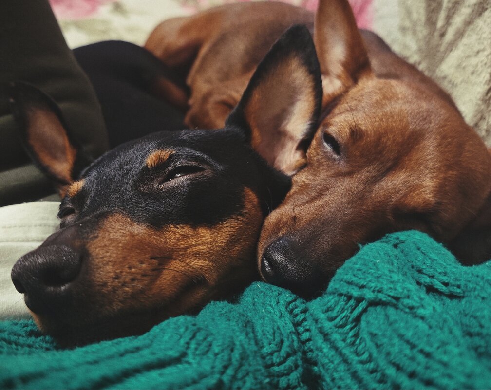 Идилия сладких снов - Evgenia Glazkova