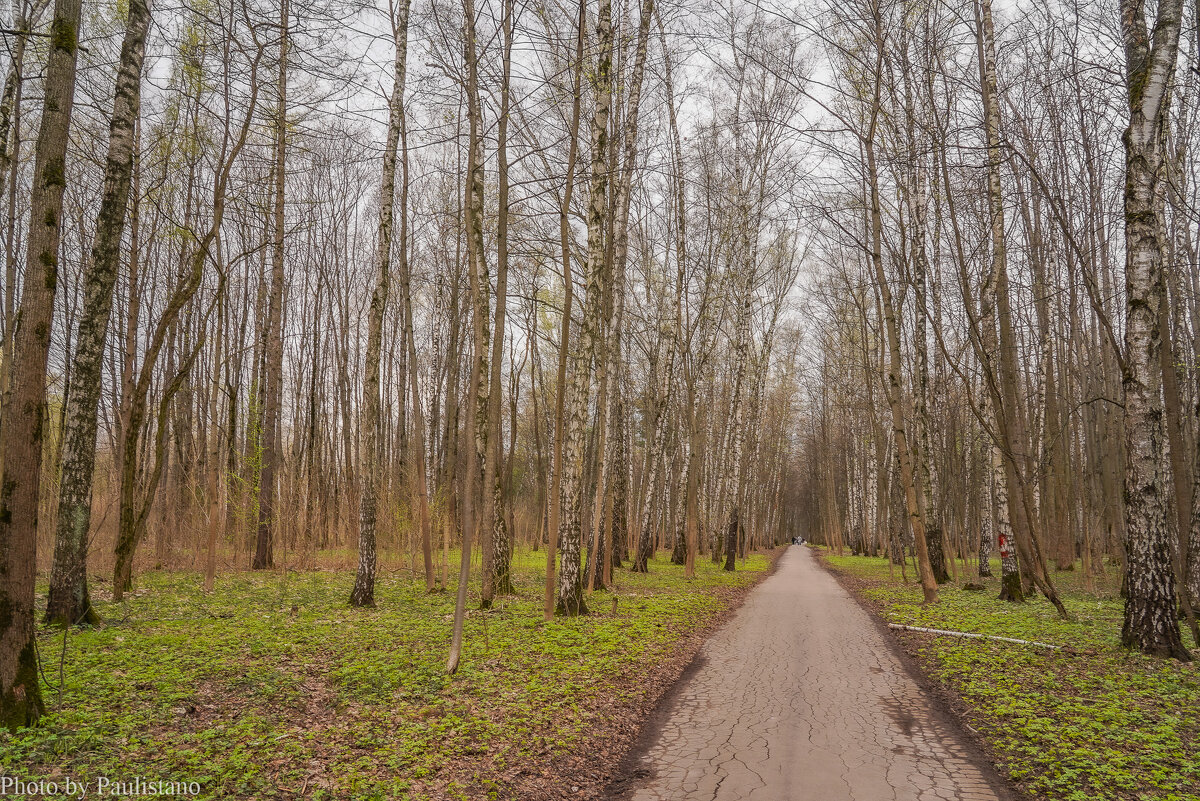 В весеннем парке... - Владимир Жданов