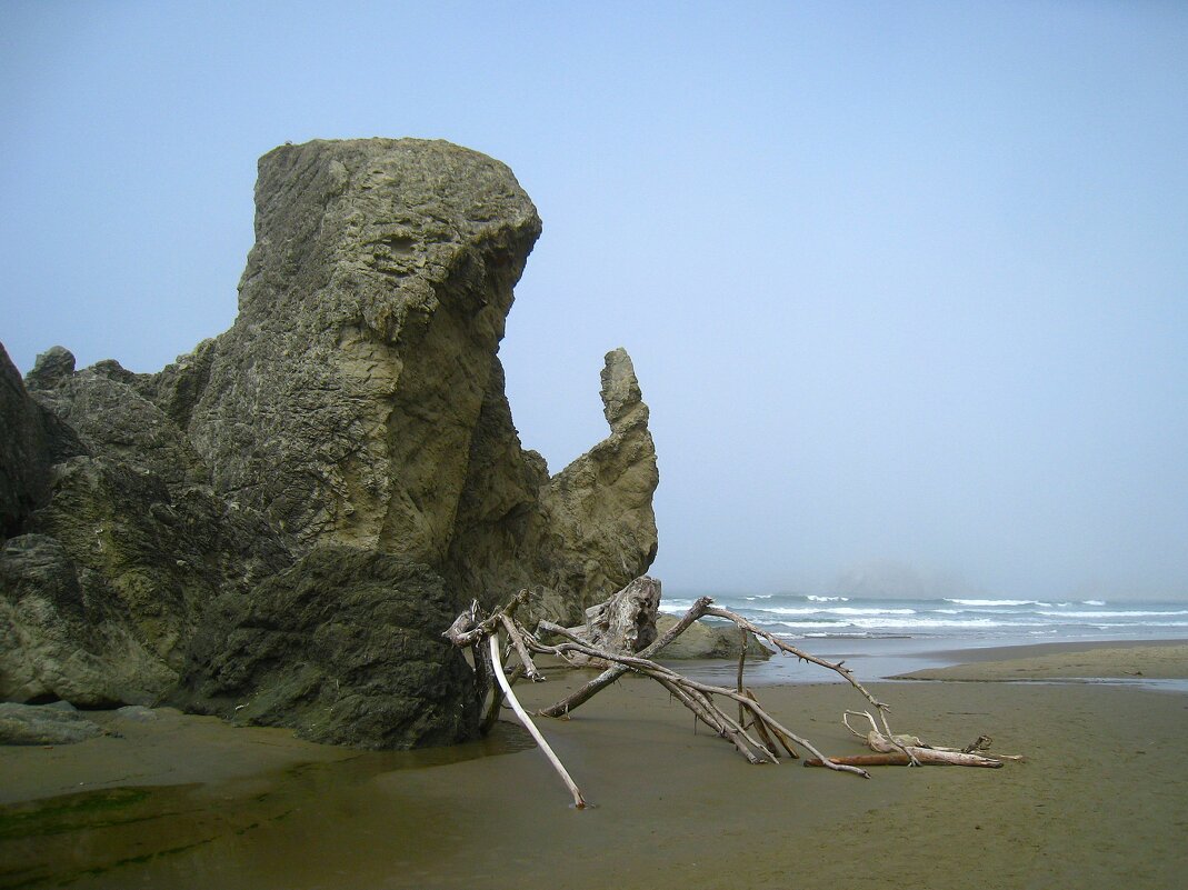 Гигантский окаменевший носорог. - unix (Илья Утропов)