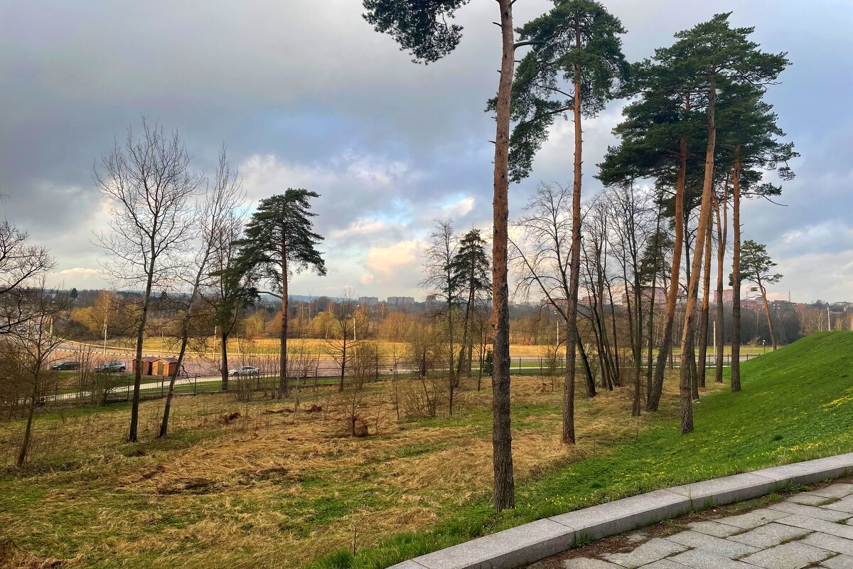 *** - Андрей Л. В.