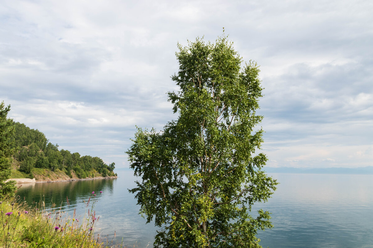 Байкальские зарисовки - Любовь Сахарова