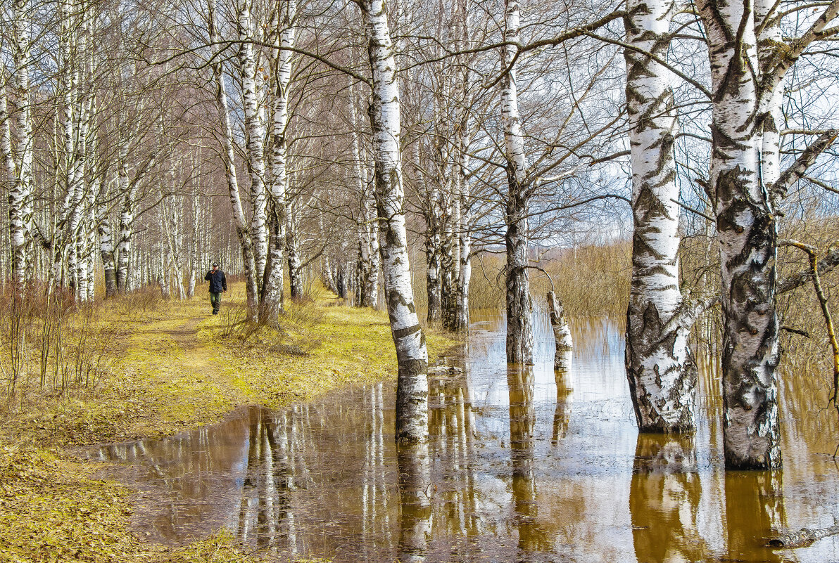 Половодье - Галина Новинская