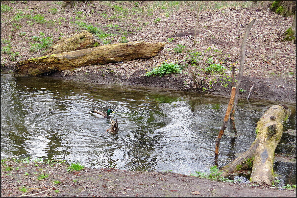 Дайвинг - Сеня Белгородский