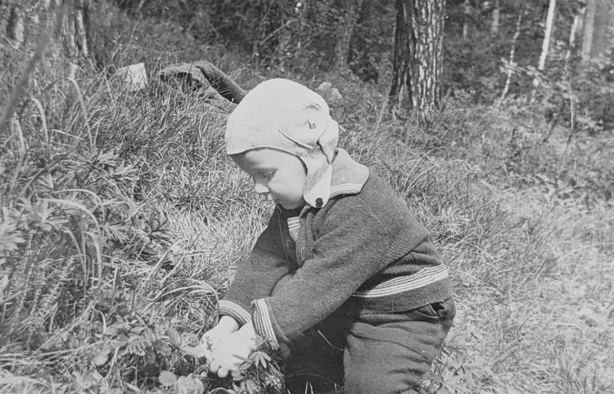 Первая ягодка - Андрей Хлопонин