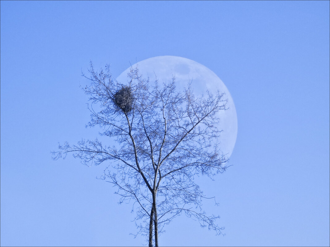Вот и встретились три одиночества... - Валентина *