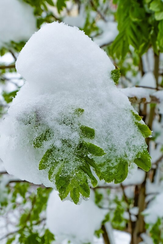 19 Апреля 2017 года город Белгород ... - Ravile 