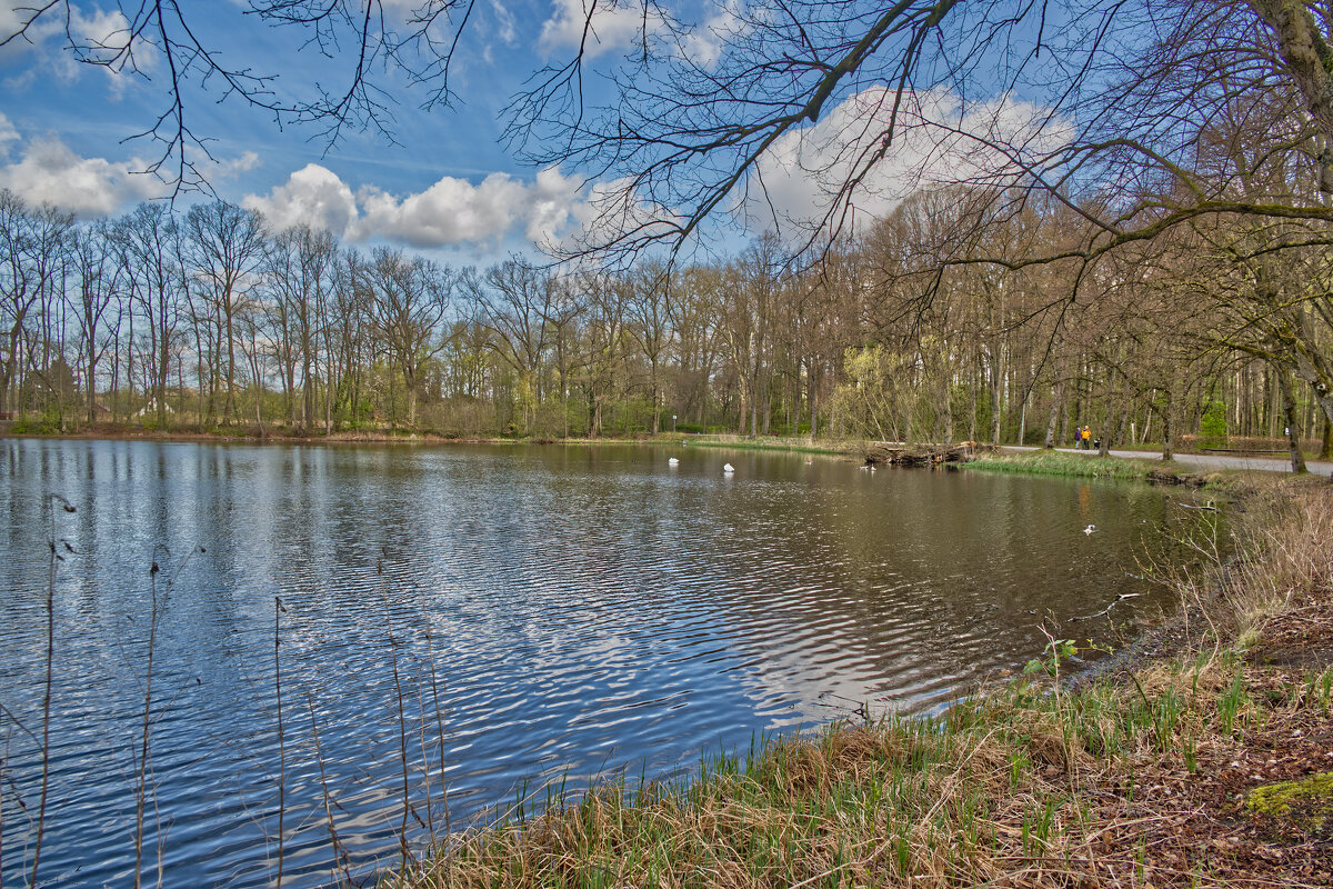 Пруд - Jakob Dick