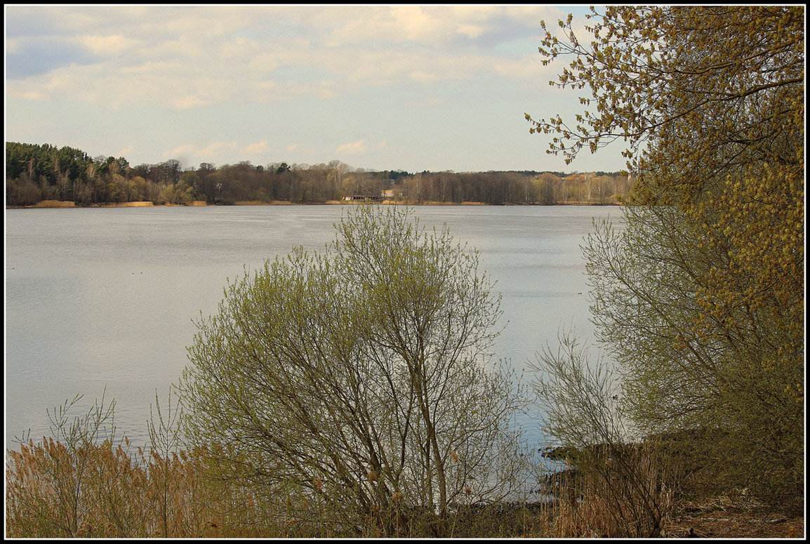Весна - Aleksandr Gal
