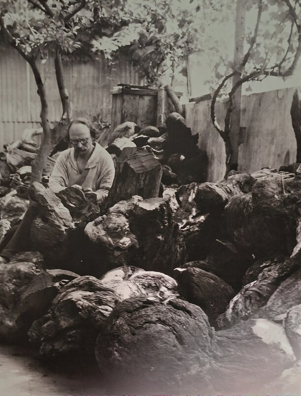 Портрет скульптора Степана Дмитриевича Эрьзя с деревом кебрачо - ИРЭН@ .