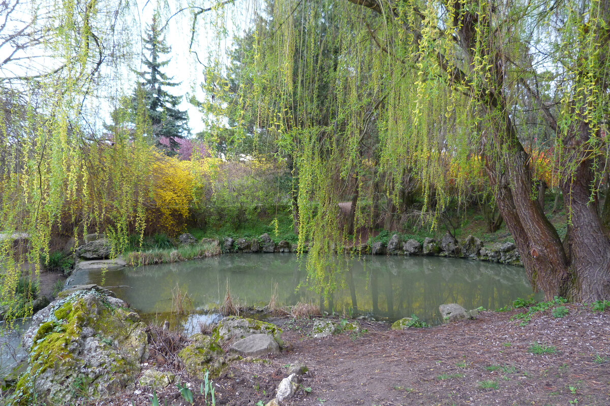 Весна в парке  Т Н У - Валентин Семчишин