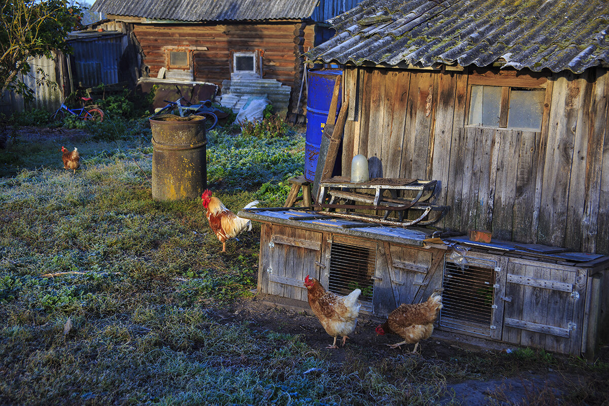 Подворье - Владимир Гришин