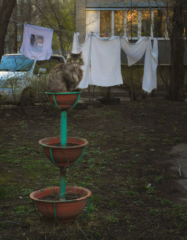 киса цветочек - Лера 