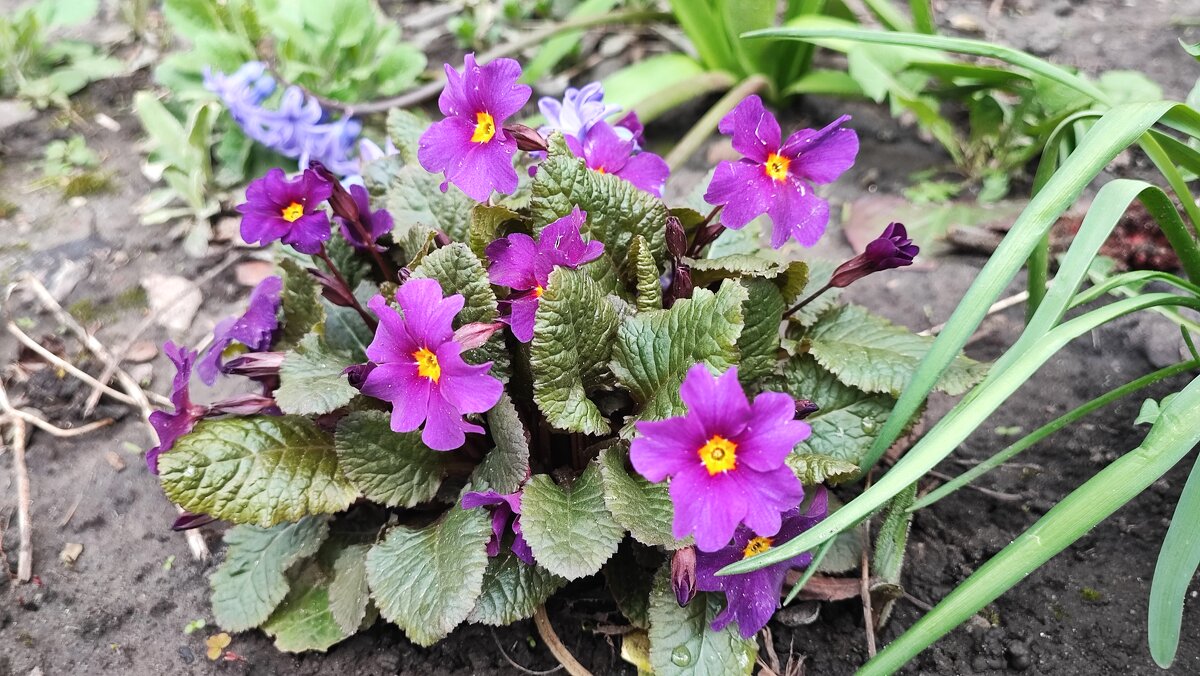 ,,, - Сергей Тимоновский