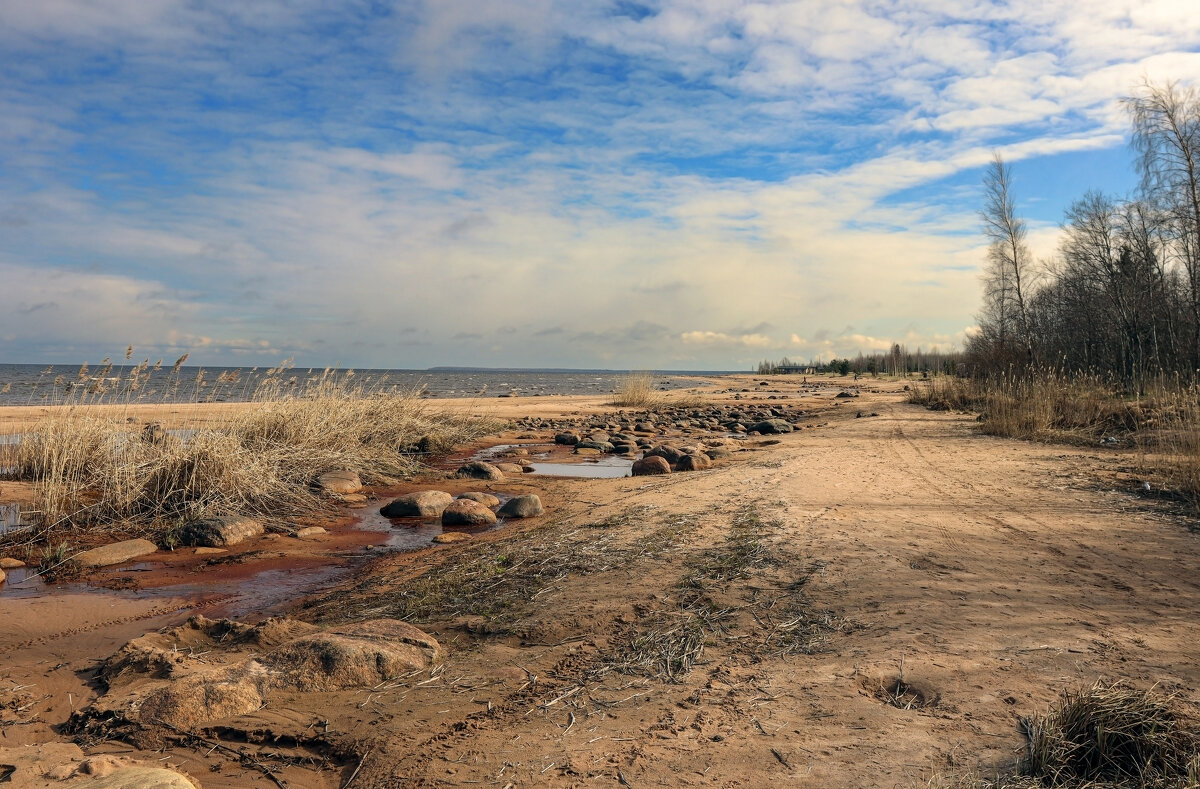 Берег Ладожского озера - skijumper Иванов