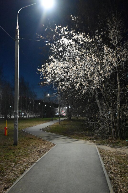 Огни Ижевска. - ВикТор Быстров