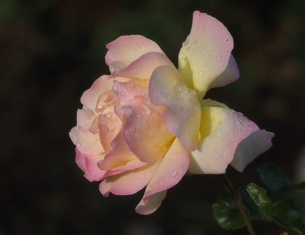 просто так ) - Всеволод 