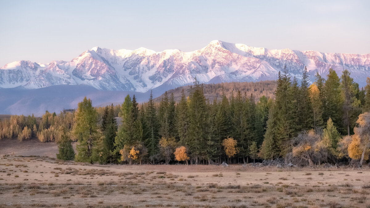 Курайский рассвет - Марина Фомина.