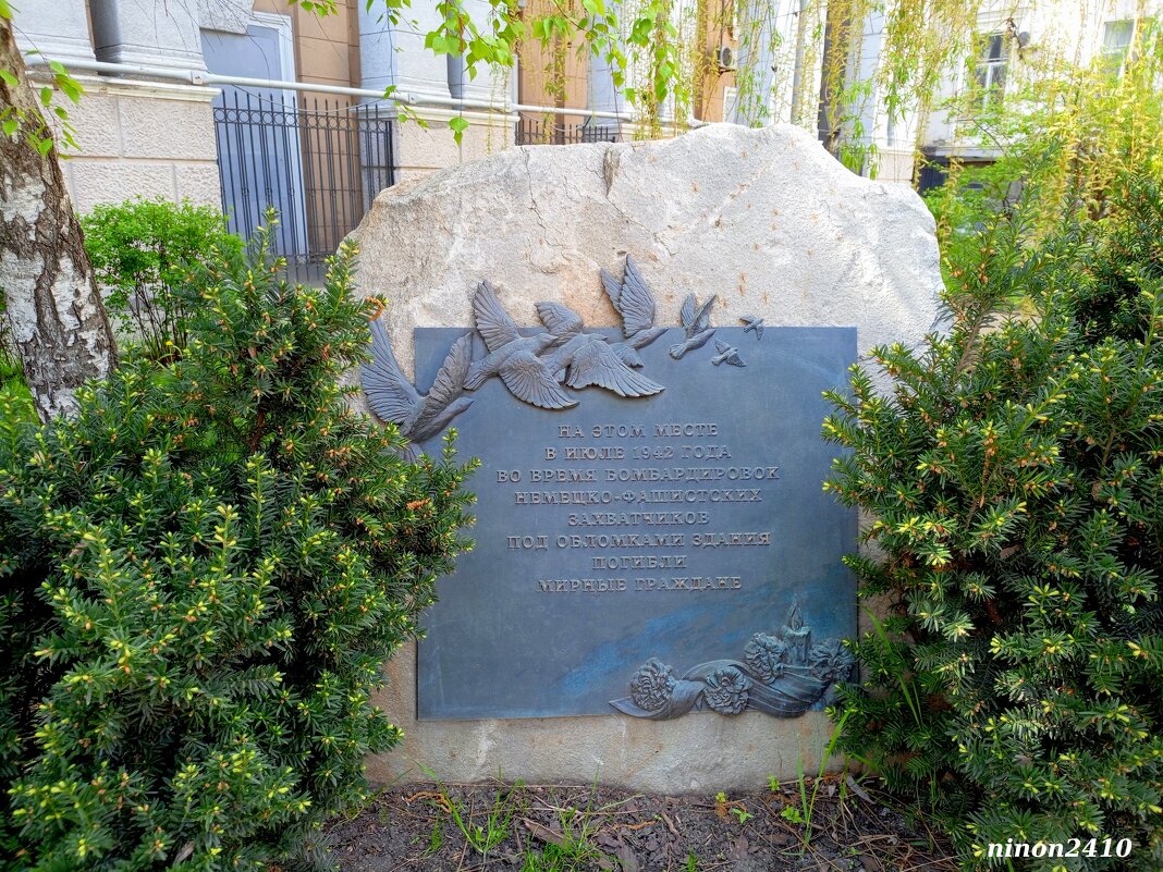 Ростов-на-Дону... наша история - Нина Бутко