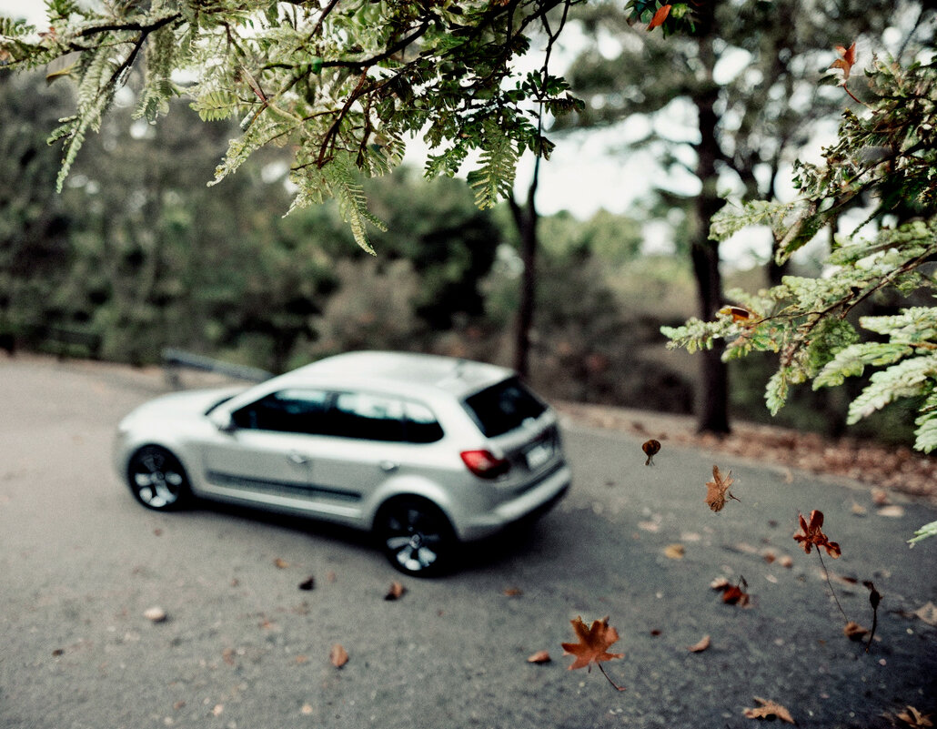 Начало осени - ura Зелев