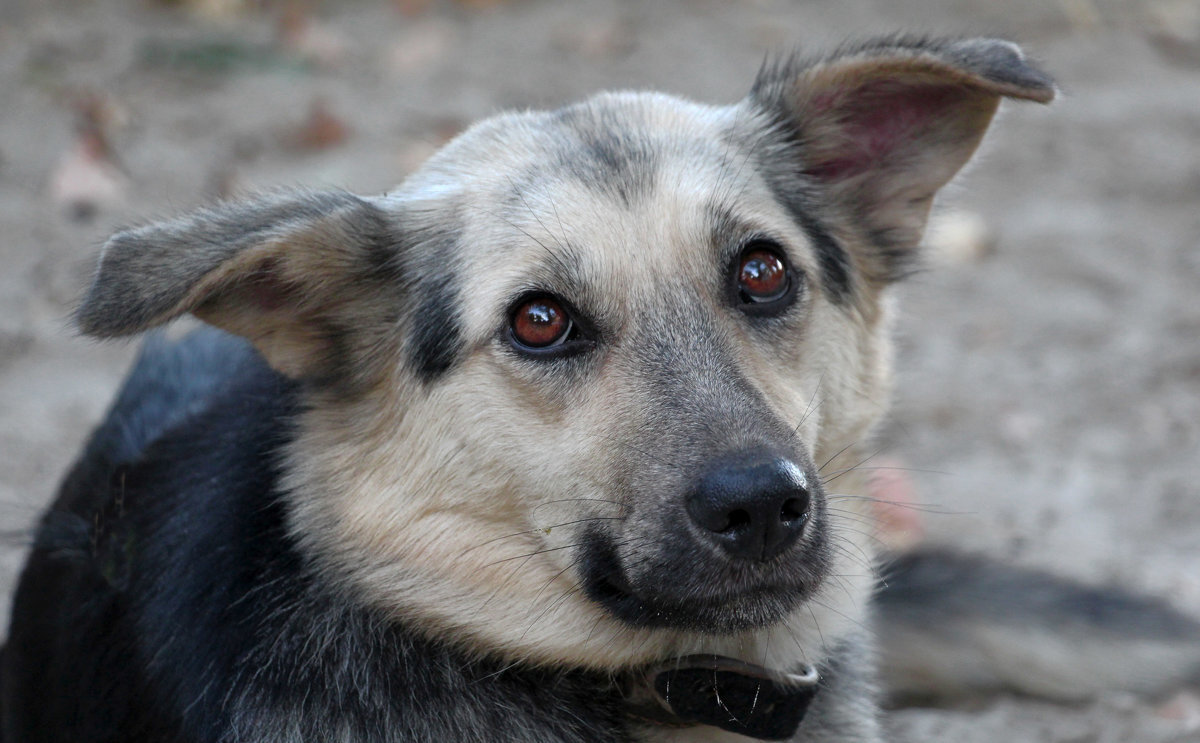Случайная встреча - Олегъ Петрович