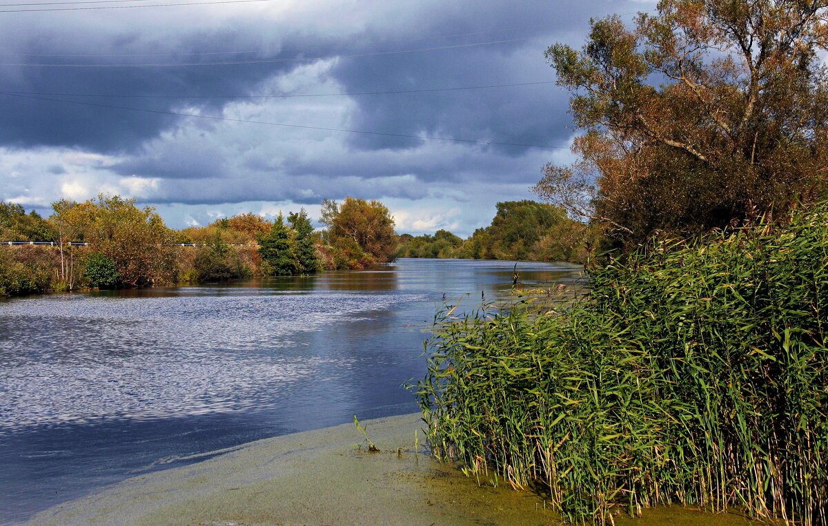 Природа готовится к осени - В.И 