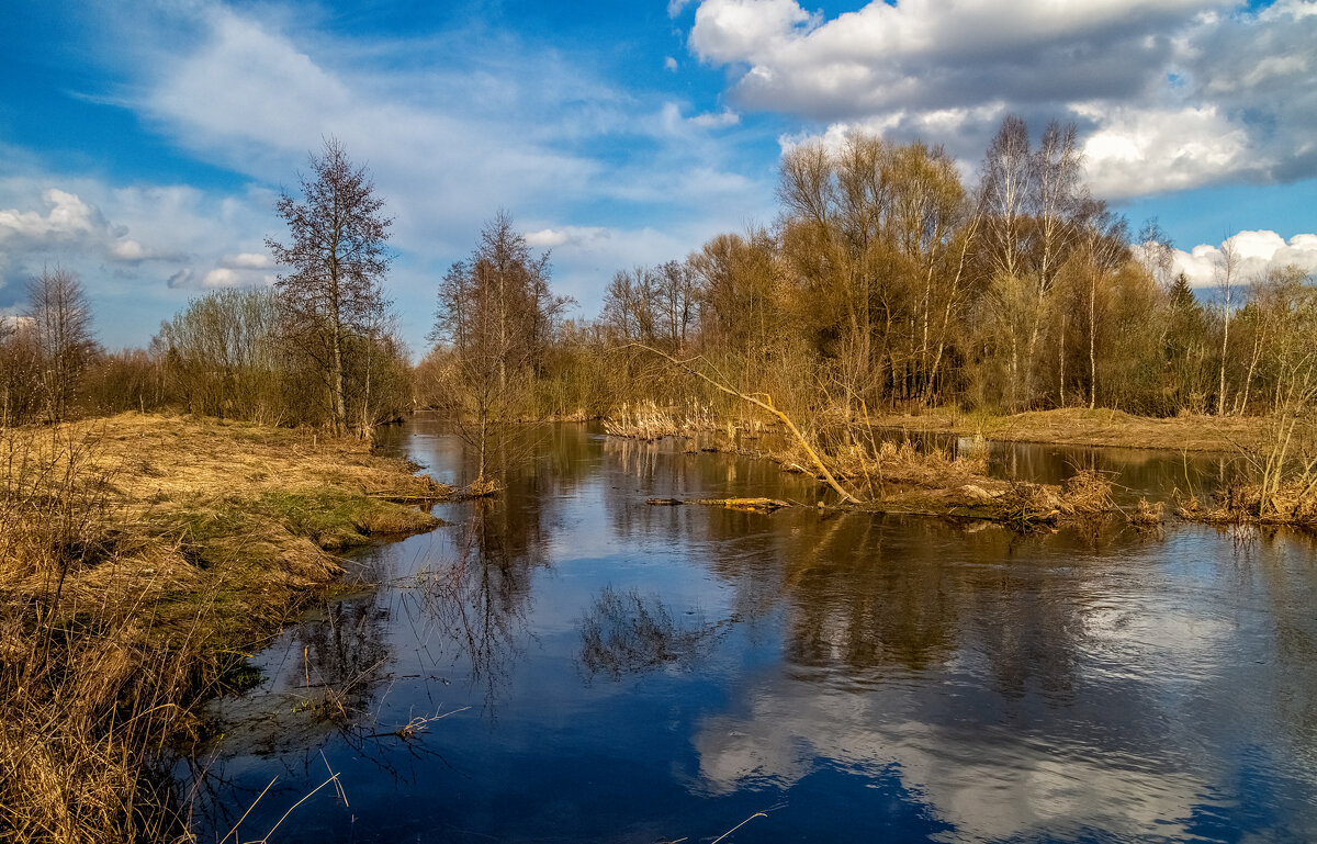 Весенняя прогулка 10 - Андрей Дворников