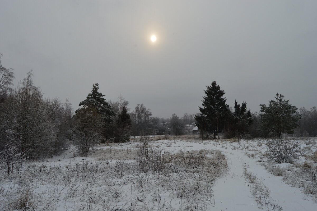 Зимний пейзаж - Олег Подлесных