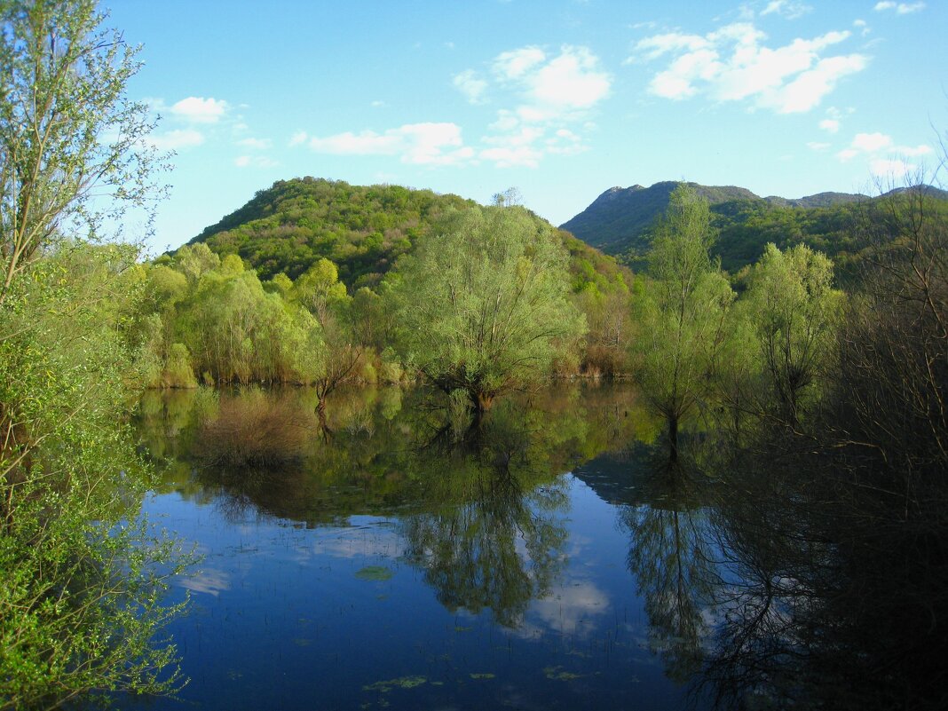 Кусочек весенней Черногории. - unix (Илья Утропов)