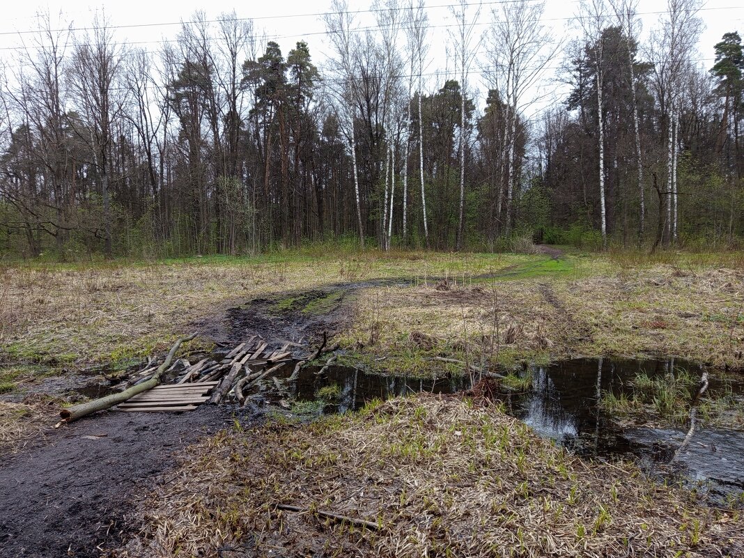 Апрель как он есть. Дальше не проехал на велосипеде - Андрей Лукьянов