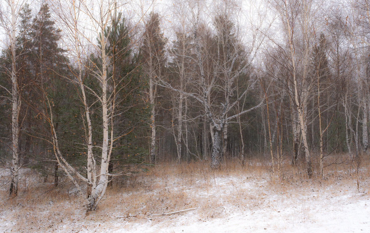 Осеннее предзимье - Сергей Герасимов