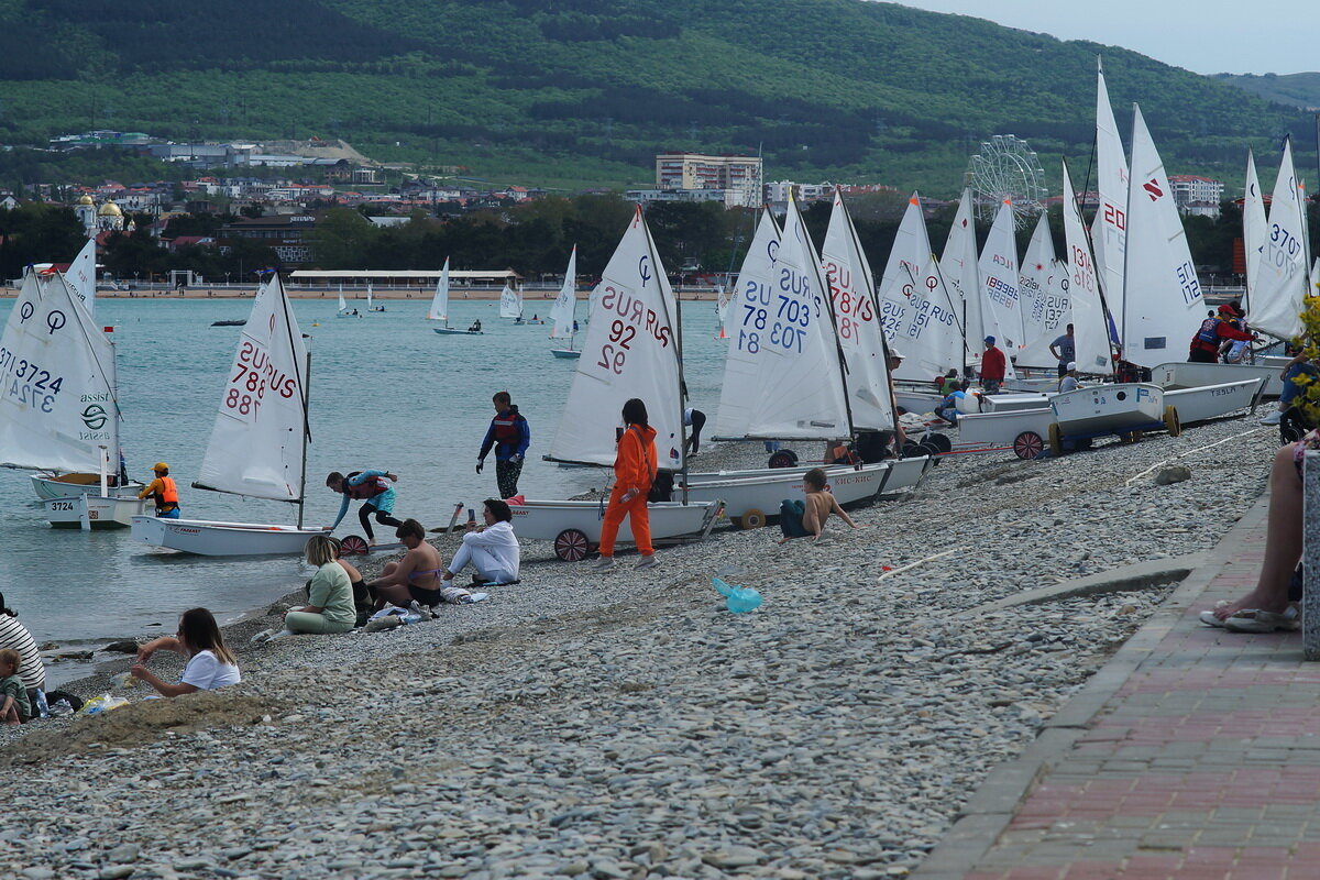 Будет регата... - Николай Саржанов