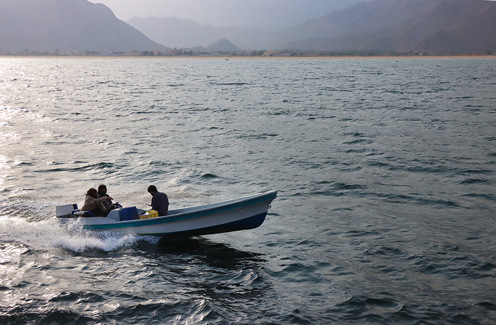 Жизнь в Оманском заливе - Галина Ильясова