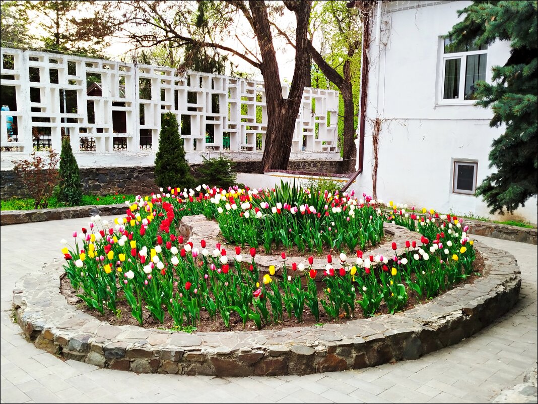 Весенняя клумба! - Надежда 