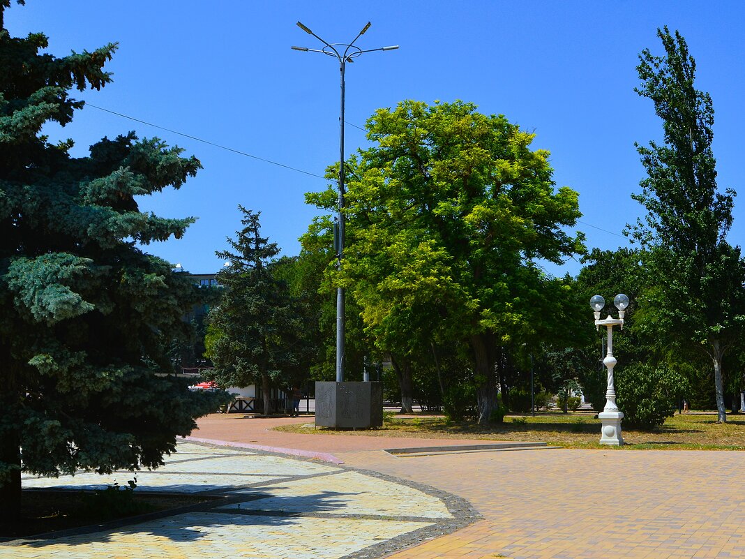 Керчь. Дуб в сквере Афганцев. - Пётр Чернега