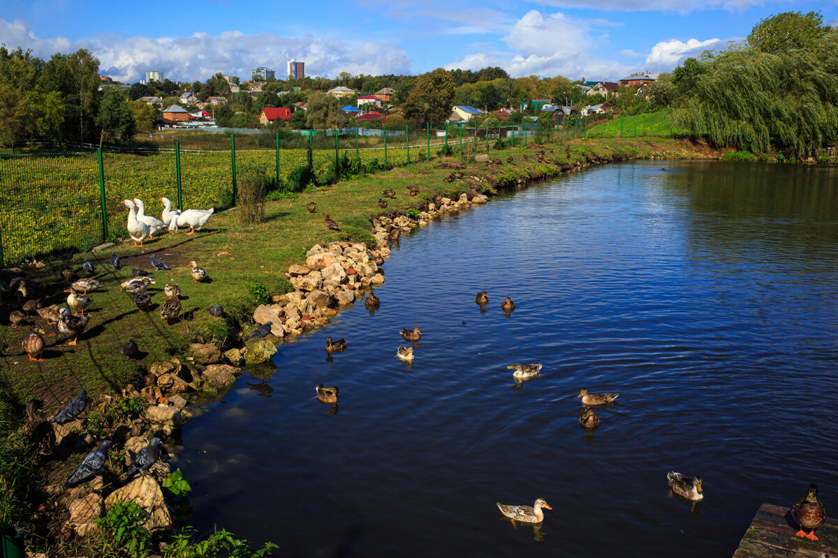 Старый  Серпухов - Владимир Гришин
