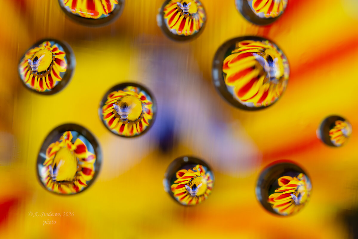 Отражение в каплях воды - Александр Синдерёв