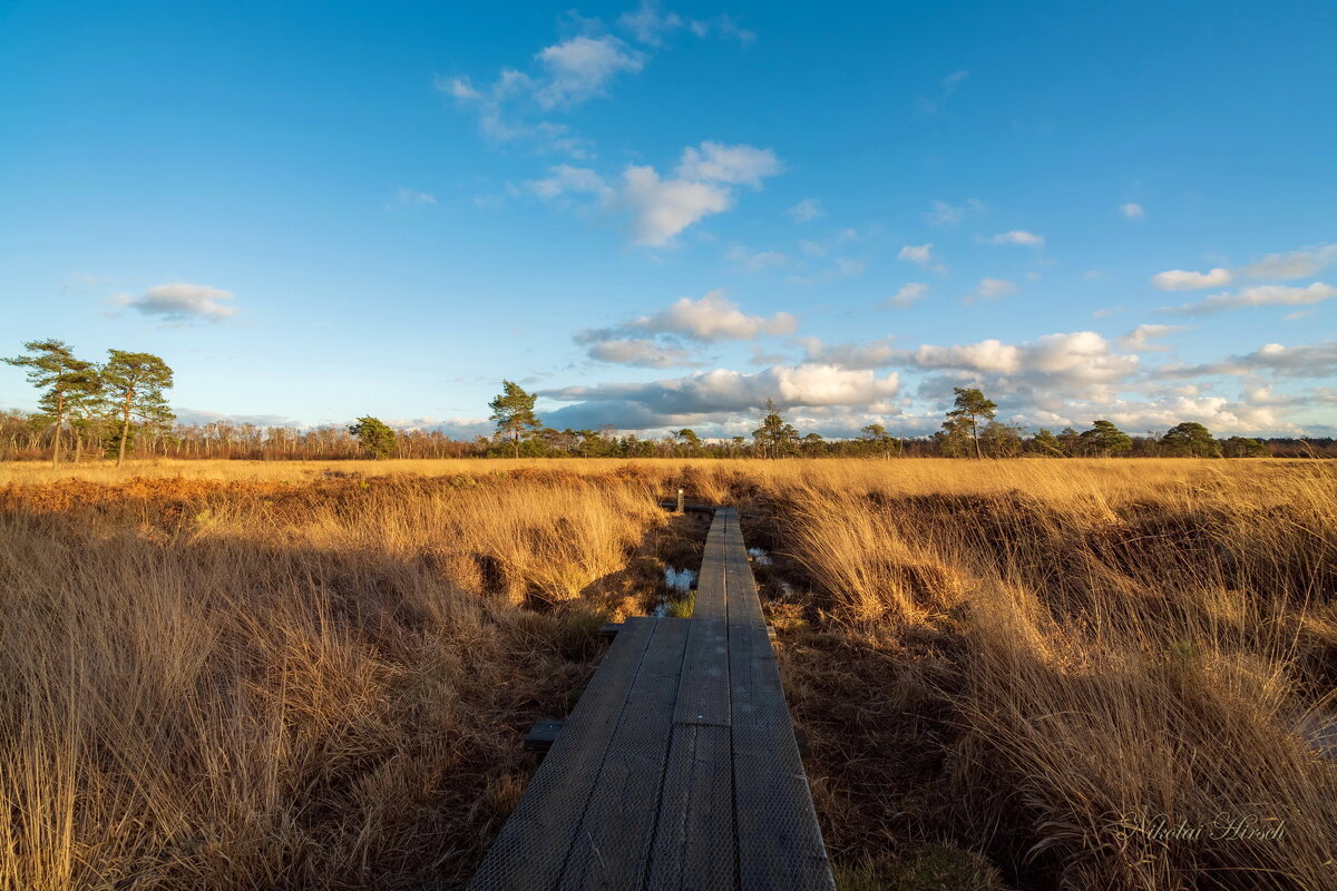 По тропе... - Николай Гирш