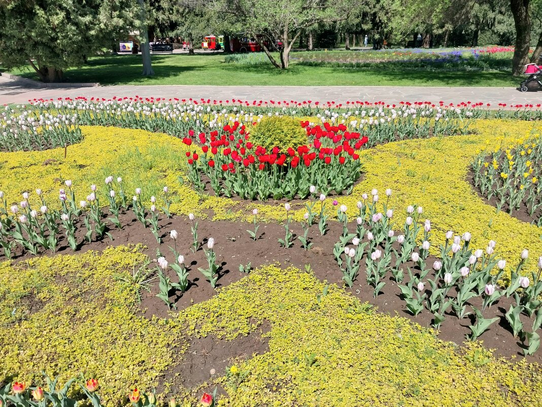 Almaty. - Murat Bukaev 