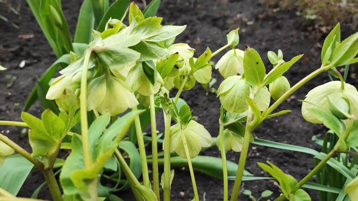 ,,, - Сергей Тимоновский