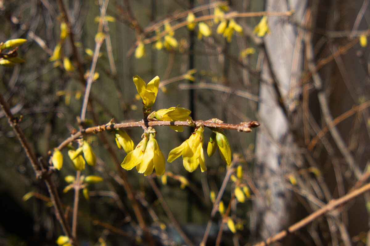 *** - Геннадий Порохов