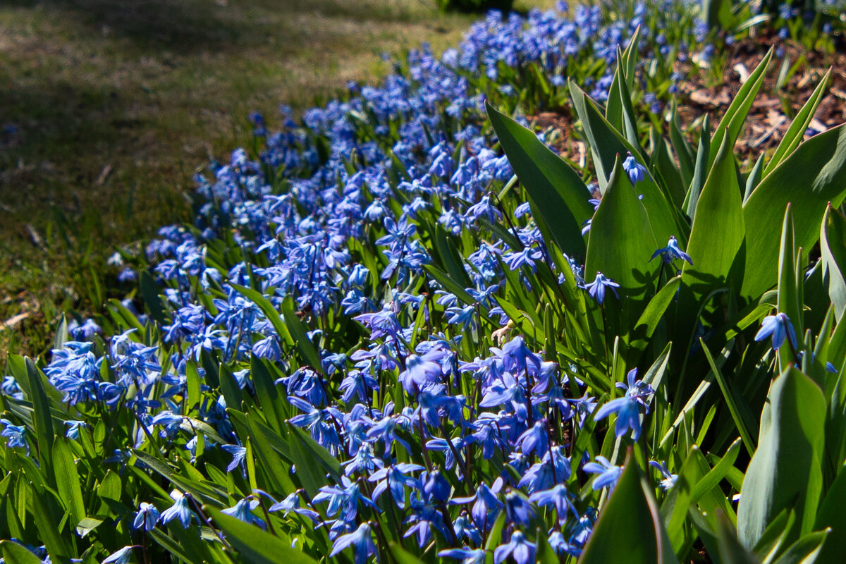 *** - Геннадий Порохов